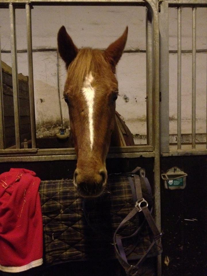 Anden særlig race Ratata <3 - Så nuttet <3 billede 19