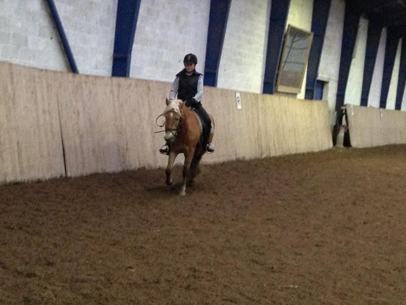 Haflinger Mimosa - Første gang jeg sad på hende <3 
Foto: Hanna Hedegaard billede 5