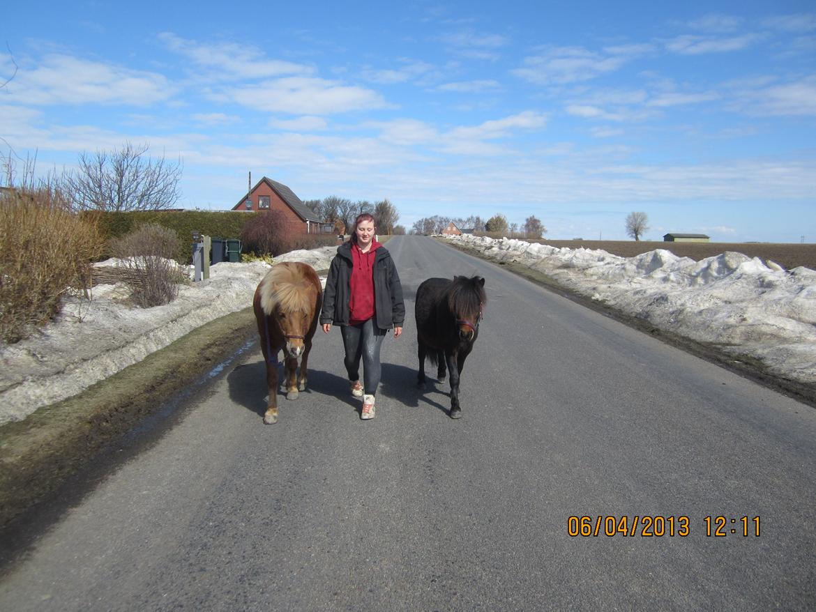 Anden særlig race Jolly Jumper - så er de små "hunde" ud og gå tur =) billede 10
