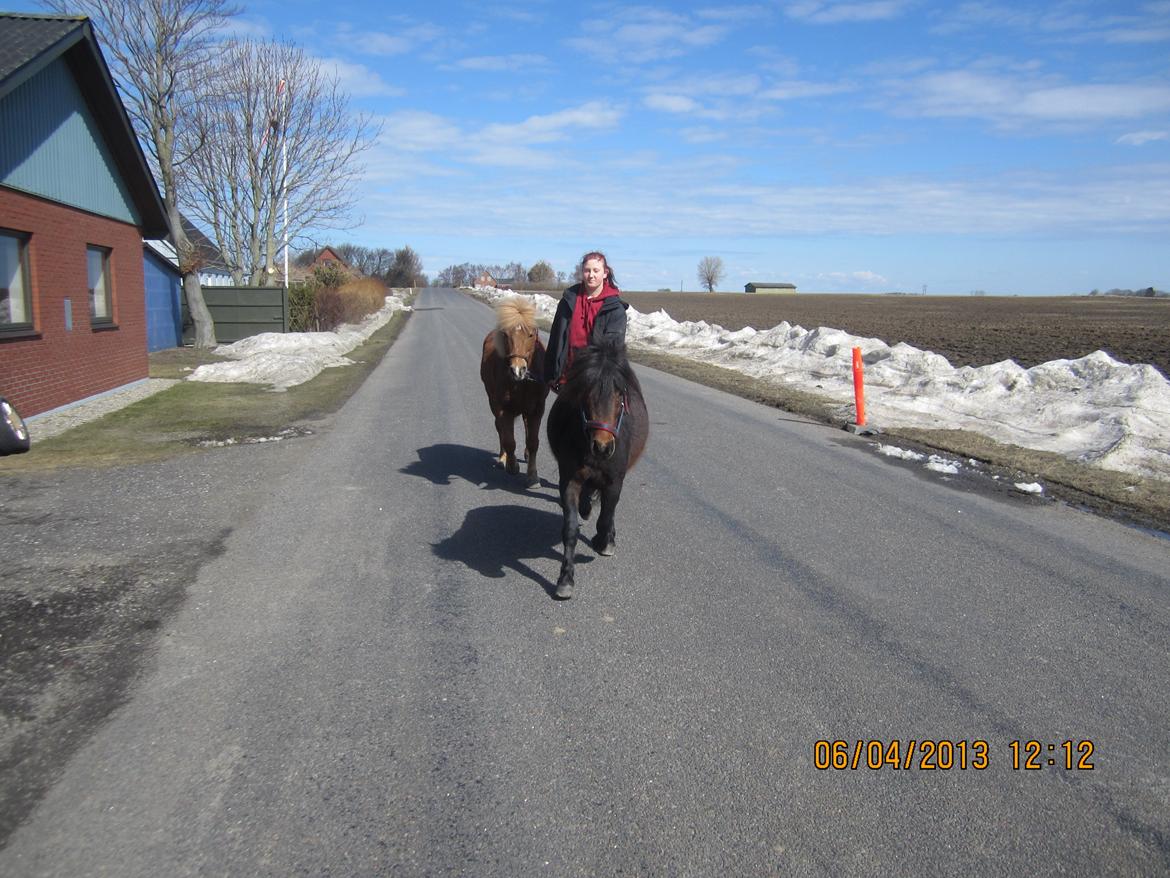 Anden særlig race Jolly Jumper - Hej hej jeg løber hen til min mor =) billede 11