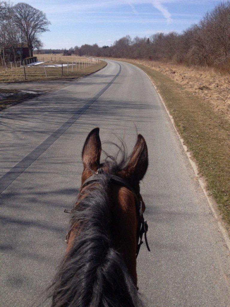 Traver Lynet Lendalund <3 - på ryggen af min dreng igen efter 4 måneder, han var så fantastisk! <3 billede 9