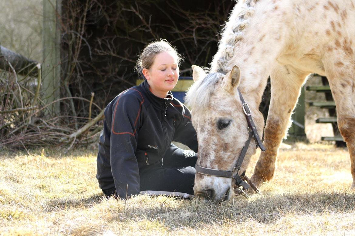 Anden særlig race Bailey billede 11