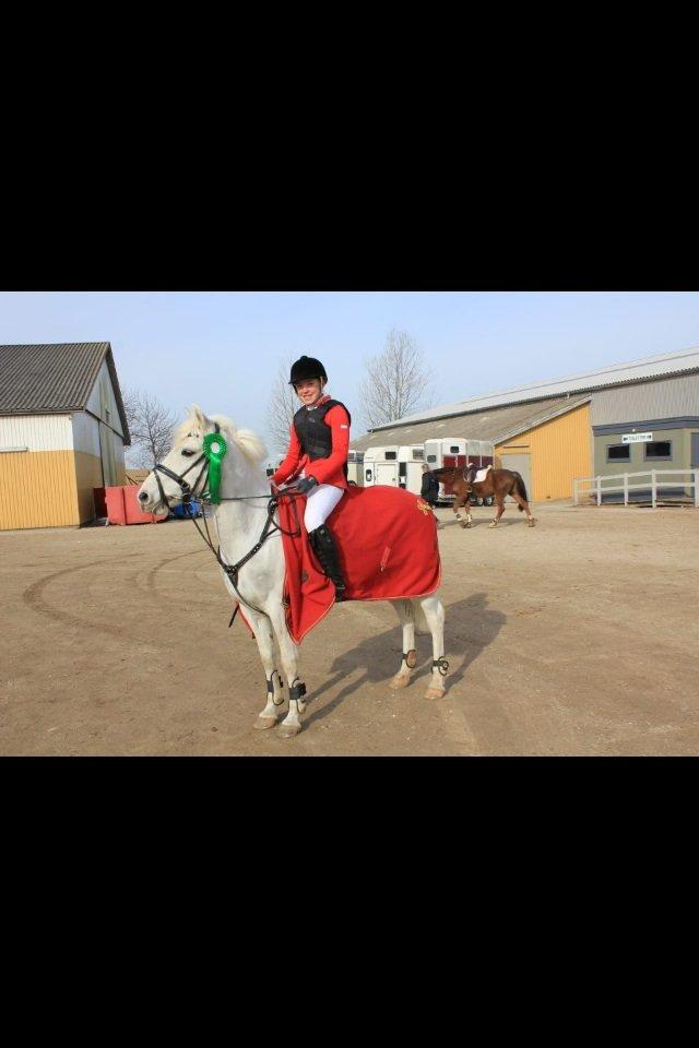 Anden særlig race Snowball billede 20