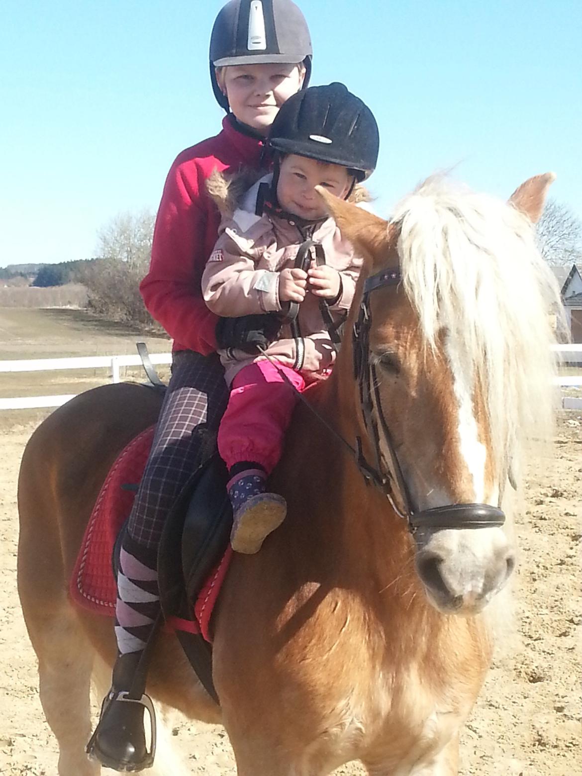 Haflinger Wonder Brohus <3 - Laura og Natasja hyggetur på Wonder. billede 14