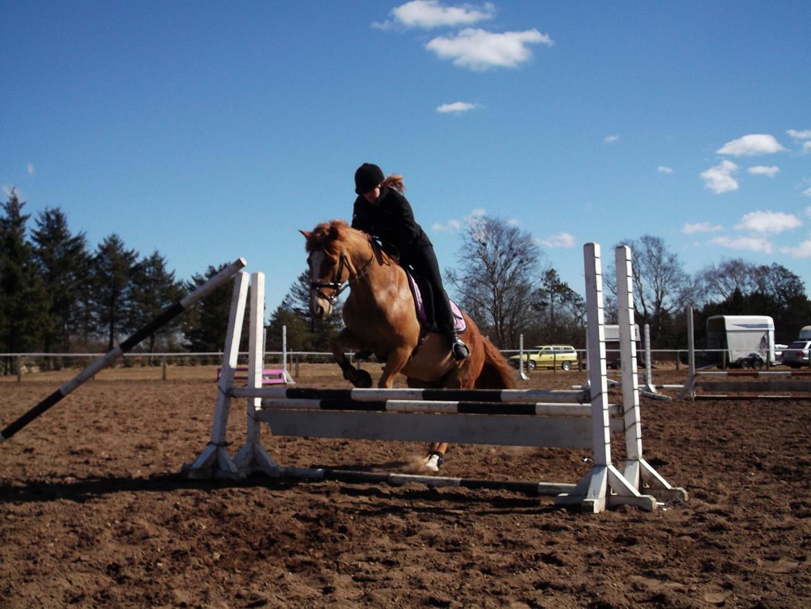 Anden særlig race Ning billede 4