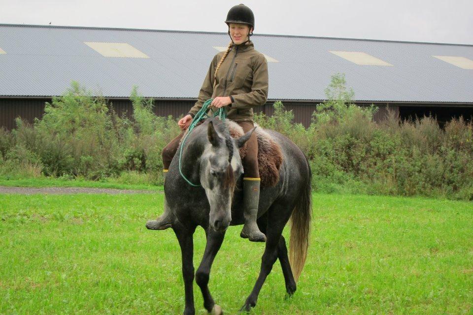 Lusitano Bailarina billede 11