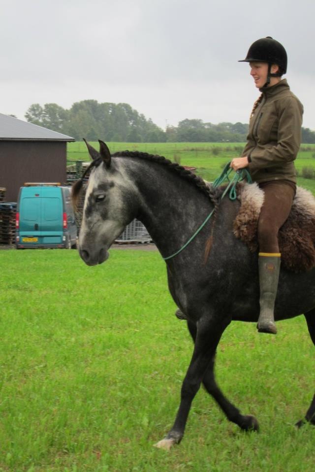 Lusitano Bailarina billede 12