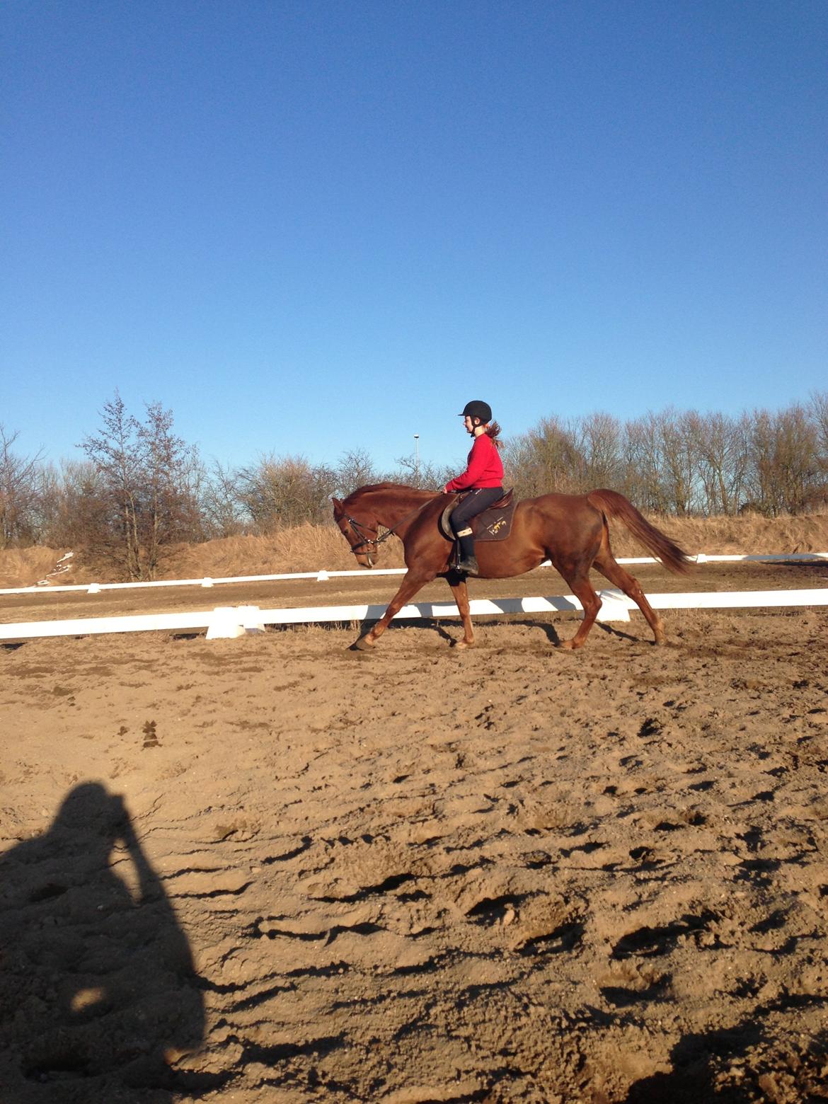 Anden særlig race Emma - Hun elsker det!<3 :-* billede 3