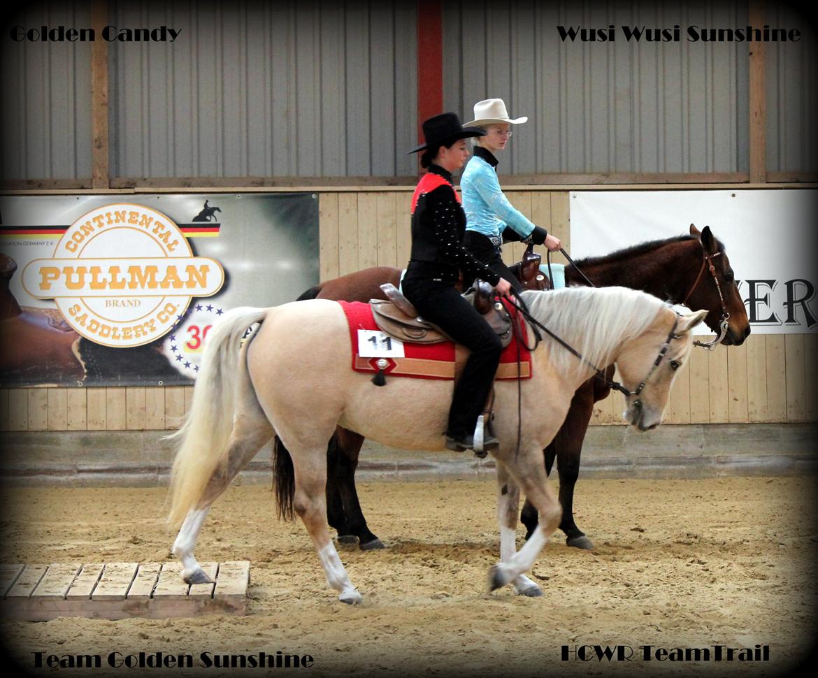 Palomino Golden candy - HCWR Klubmesterskab 2012 - TeamTrail - 2. plads billede 7