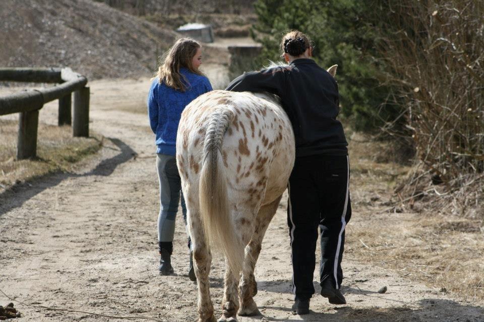 Anden særlig race Bailey - Tak for kigget! Lig gerne en kommentar og bedømmelse :) billede 37