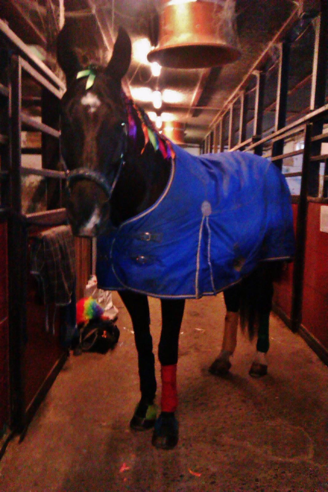 Oldenborg Felix - Fastelavn d. 24/2-13.
Foto: Louise Heilmann K Sørensen billede 13