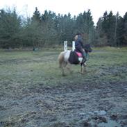 Anden særlig race Bella