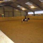 Anden særlig race Bella