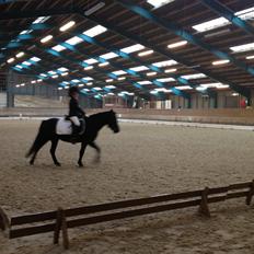 Anden særlig race Kiabella