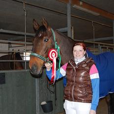 Dansk Varmblod Capriolé