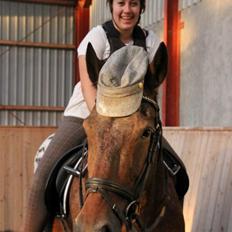 Appaloosa Rasmus *Rideskole hest*