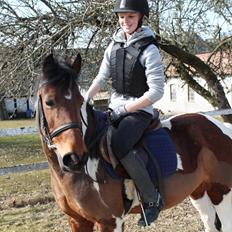 Anden særlig race Flicka [ELEVPONY]