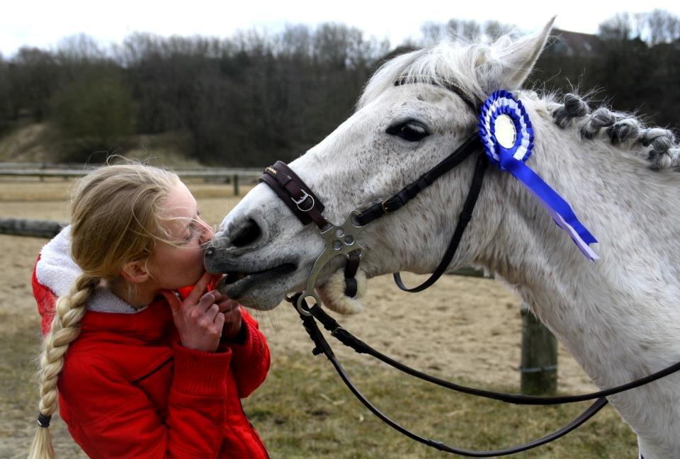 DSP Sv's Mercedes Morgenstern<3 - Kys på kommando - Efter Olivia&Mercedes havde fået en 2. plads i LD billede 7