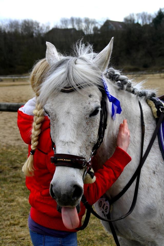 DSP Sv's Mercedes Morgenstern<3 - Efter Olivia&Mercedes havde fået en 2. plads i LD billede 14
