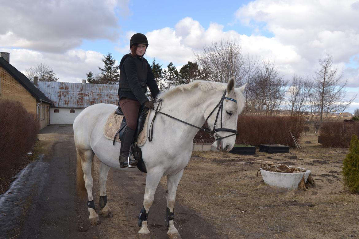 Anden særlig race Smokie billede 5