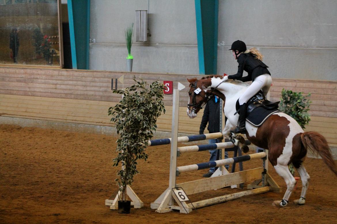 Anden særlig race Bailey<3 - By the way, I'm wearing the smile you gave me.. billede 17