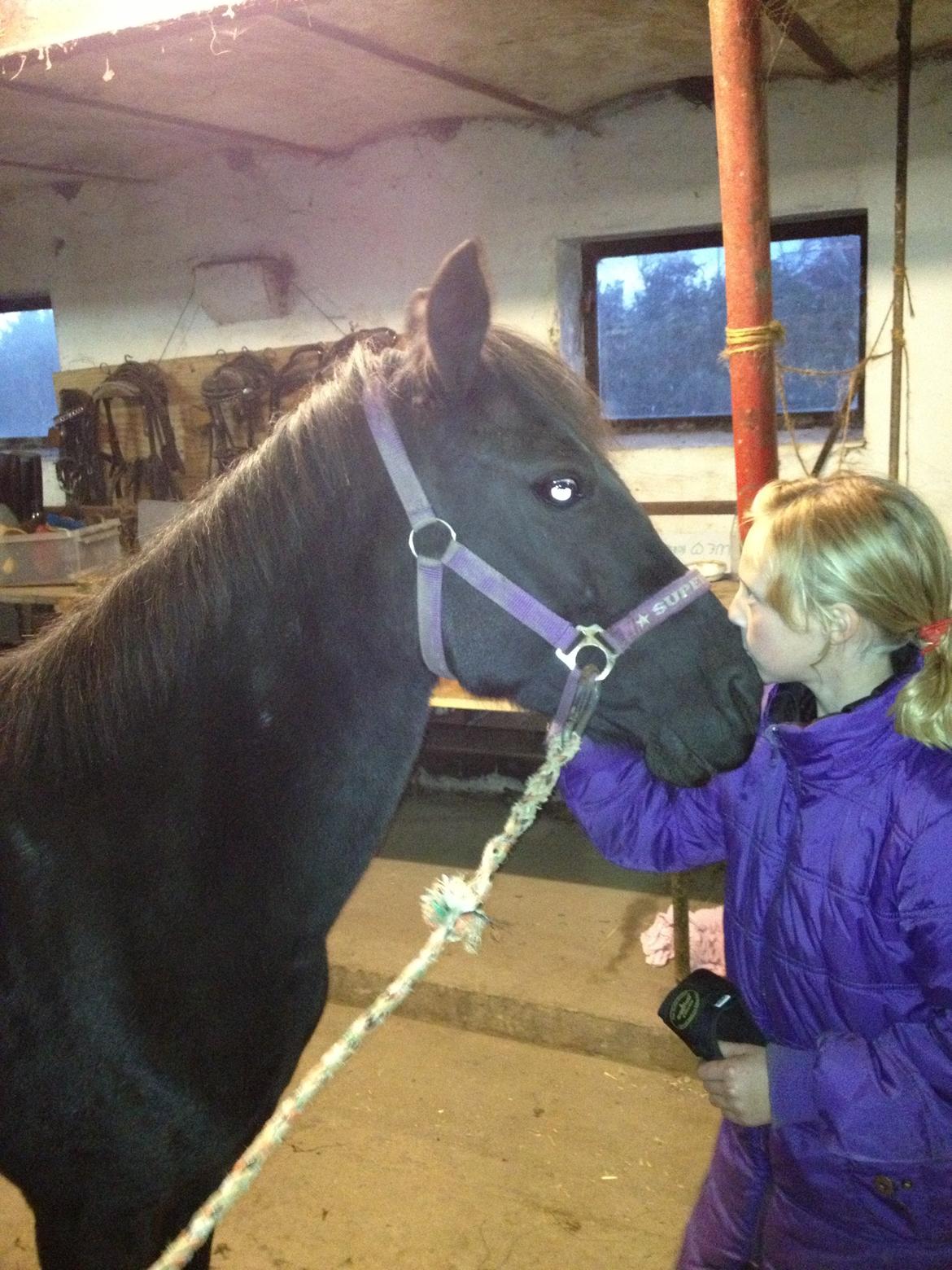 Anden særlig race Kiabella - møs møs :* billede 1