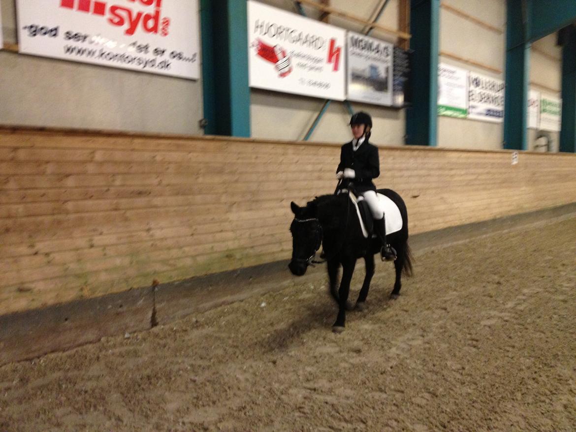 Anden særlig race Kiabella - færdig med programet billede 4