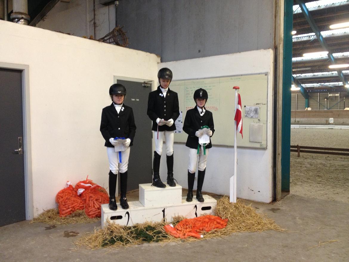 Anden særlig race Kiabella - jear fik en tredjeplads  billede 6