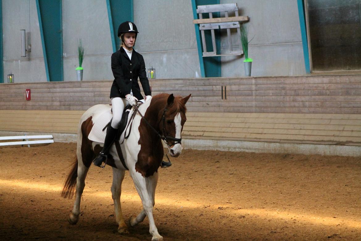 Anden særlig race Bailey<3 - "I know I'm lost. But as long I'm lost in you, I'll be just fine.." billede 4