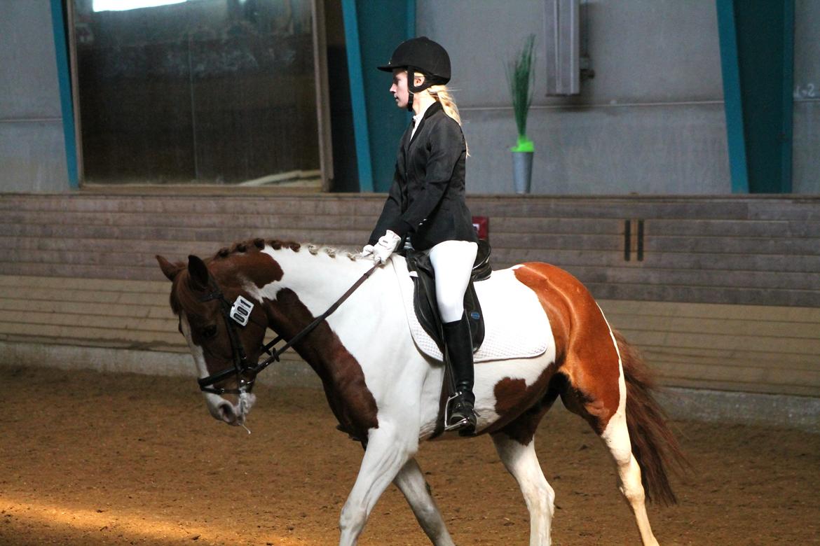 Anden særlig race Bailey<3 - "You haven't lived, until you've found something worth dying for." billede 9