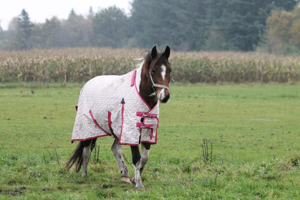 Anden særlig race Trolderik <3 *Trille* [Bedste ven] - Min sjæl føles genfødt hver gang jeg ser dig; forelsker mig i dig igen og igen! <3 billede 12
