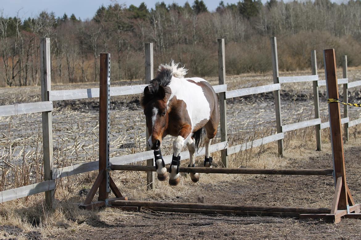 Anden særlig race Trolderik <3 *Trille* [Bedste ven] - At elske dig er som at trække vejret, hvordan kan jeg stoppe? <3 billede 14