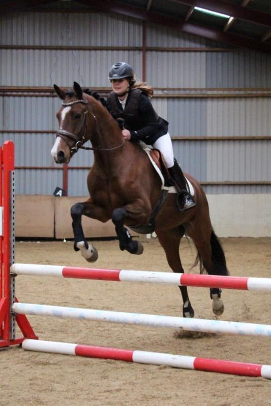 DSP Haahr`s Dumbledore - første springstævne 
Foto: Kamilla jakobsen billede 20