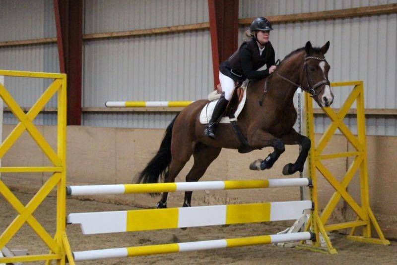 DSP Haahr`s Dumbledore - første springstævne. 
Foto: Kamilla Jakobsen billede 21