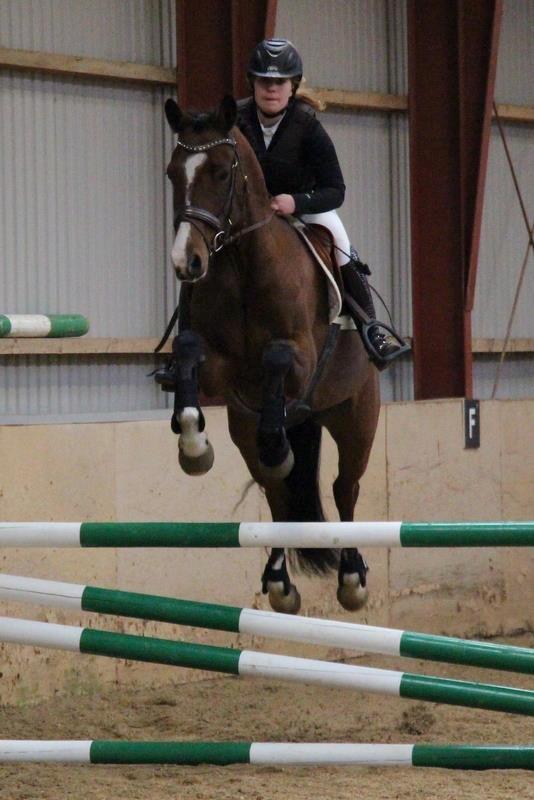 DSP Haahr`s Dumbledore - første springstævne 
Foto : Kamilla Jakobsen billede 22