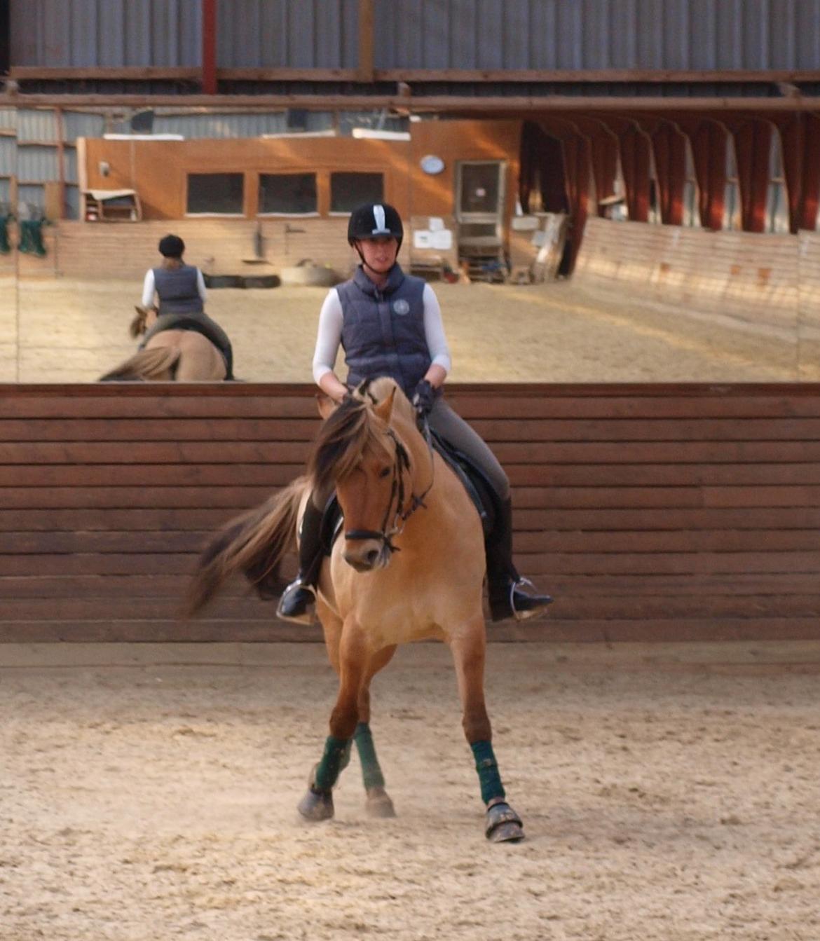 Anden særlig race Lukas - Træning April 2013 billede 18