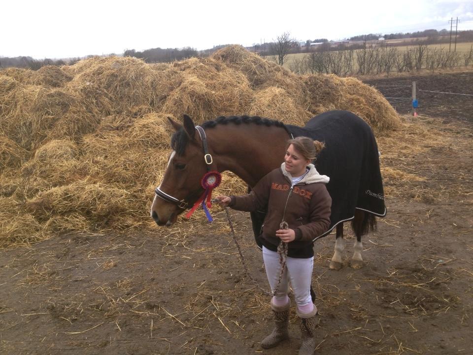 DSP Haahr`s Dumbledore - viljen til at ville fostre evnen til at kunne.. <3 <3 billede 24