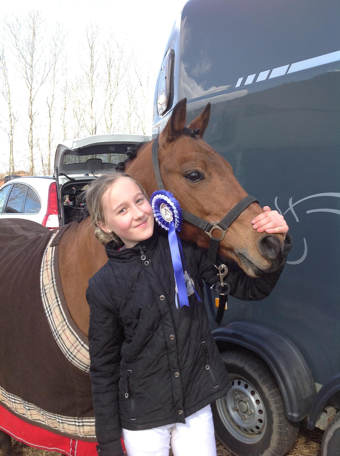 New Forest Darinko Star billede 5