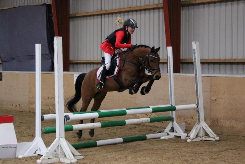 New Forest Darinko Star billede 8