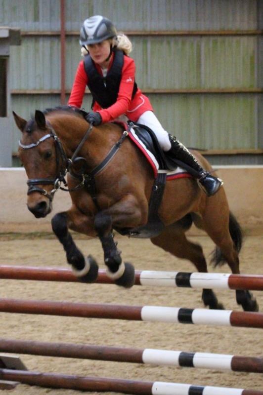 New Forest Darinko Star billede 6