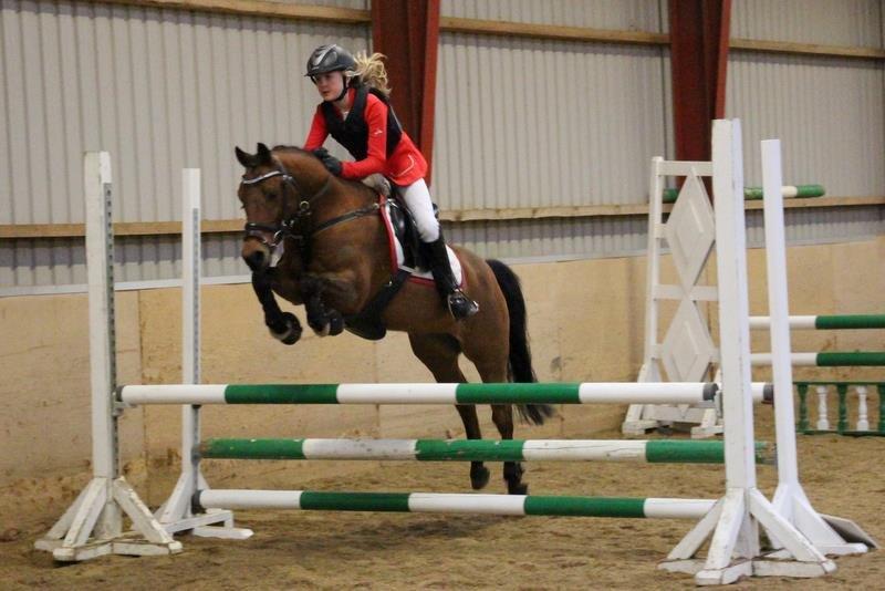 New Forest Darinko Star billede 11