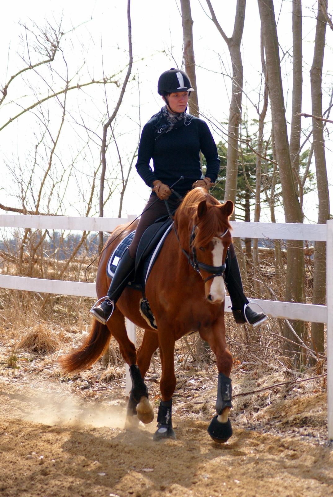 DSP Palle Prut billede 20