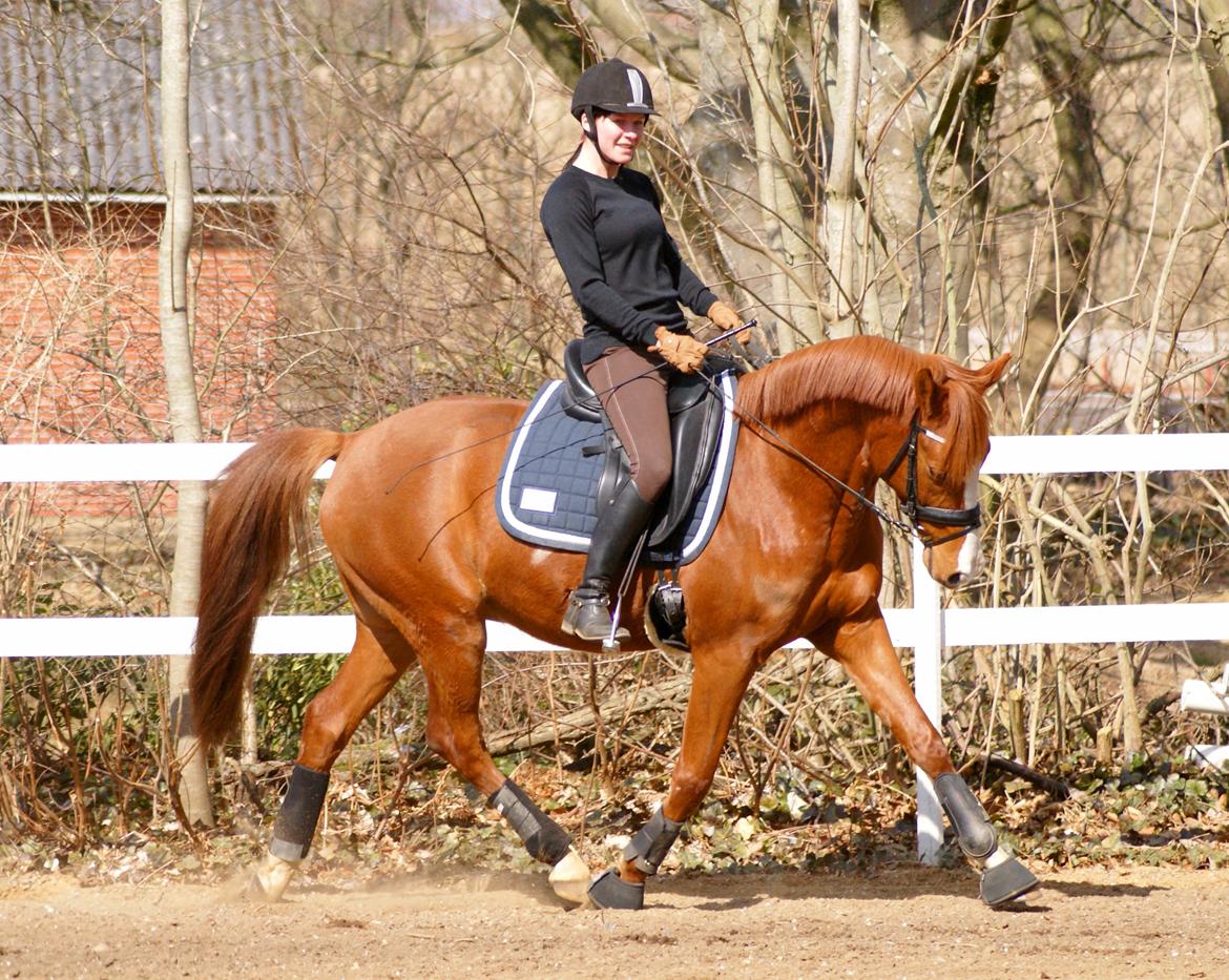 DSP Palle Prut billede 12