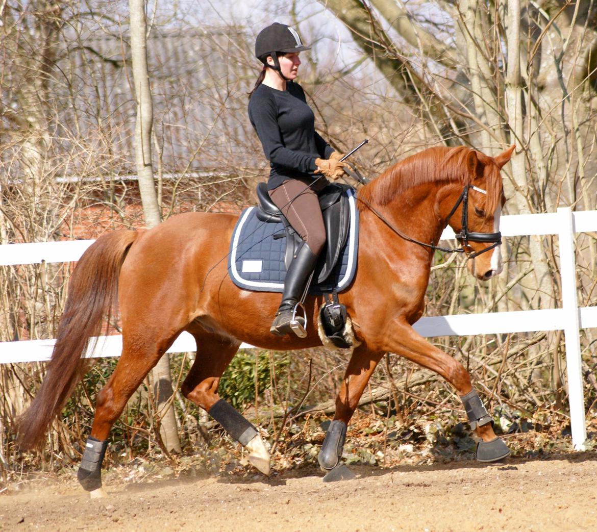 DSP Palle Prut billede 10