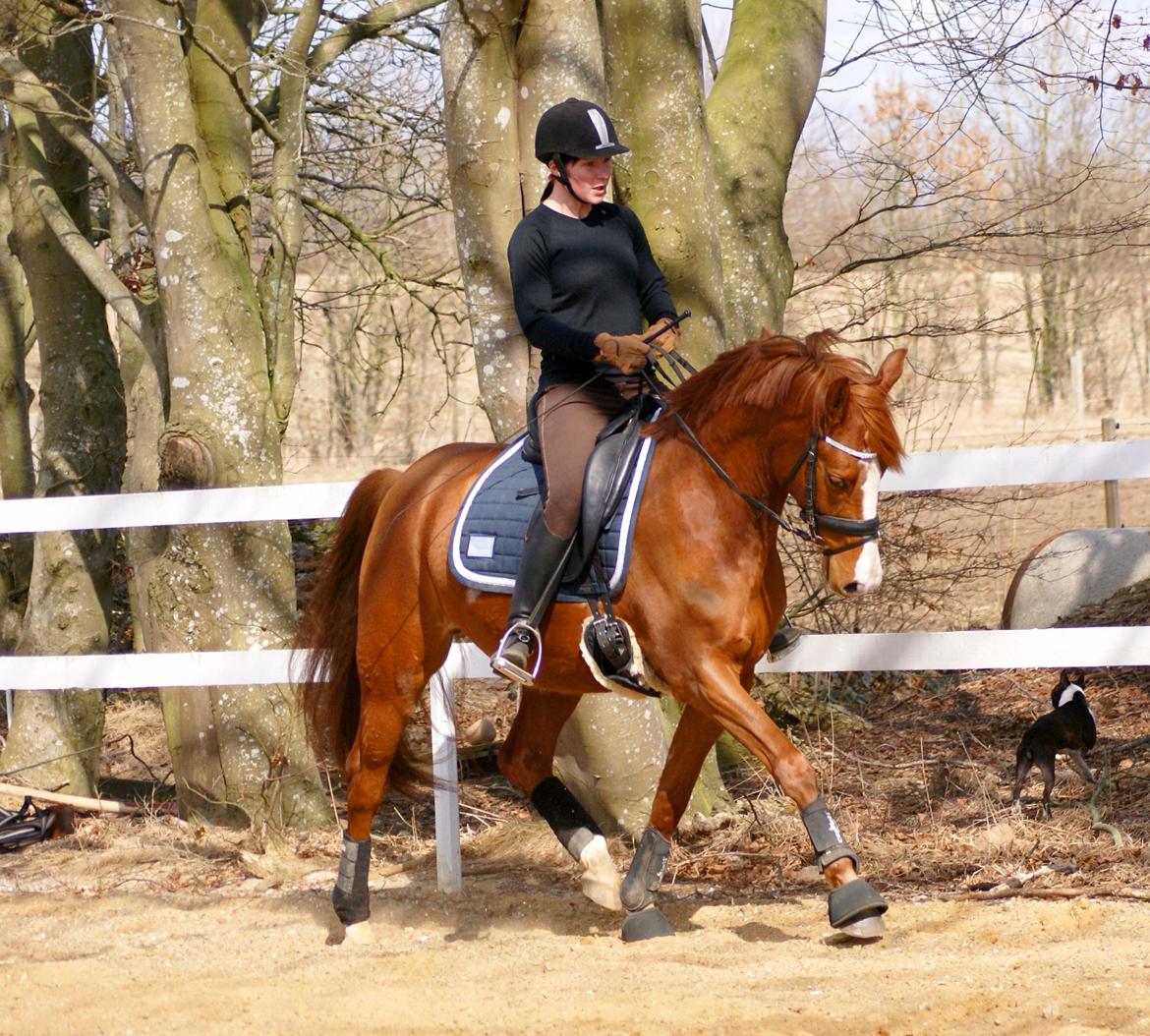 DSP Palle Prut billede 9