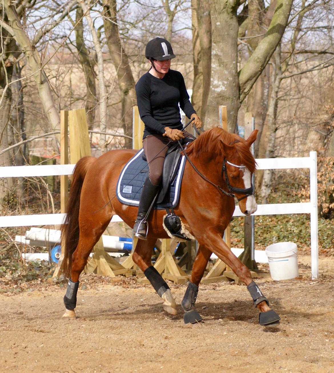 DSP Palle Prut billede 11