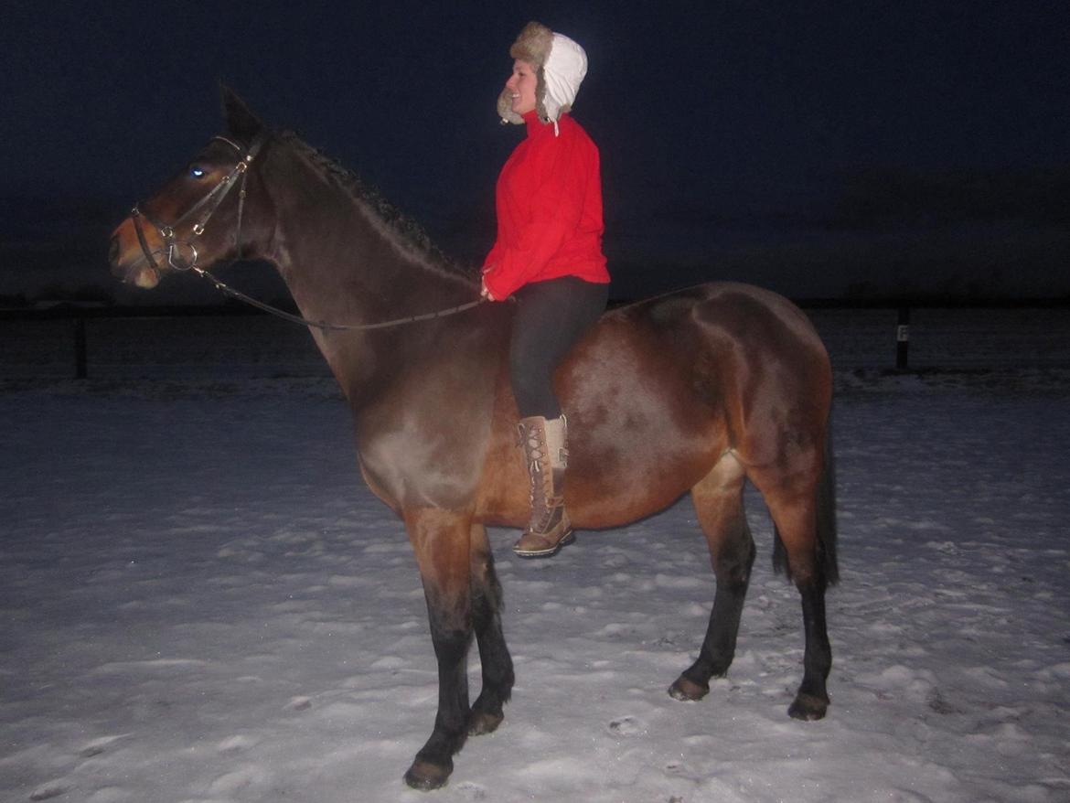 Pinto Jacki Højgård (DAMPBARNET) - Vinteren 2012 med den bedste <3 billede 22