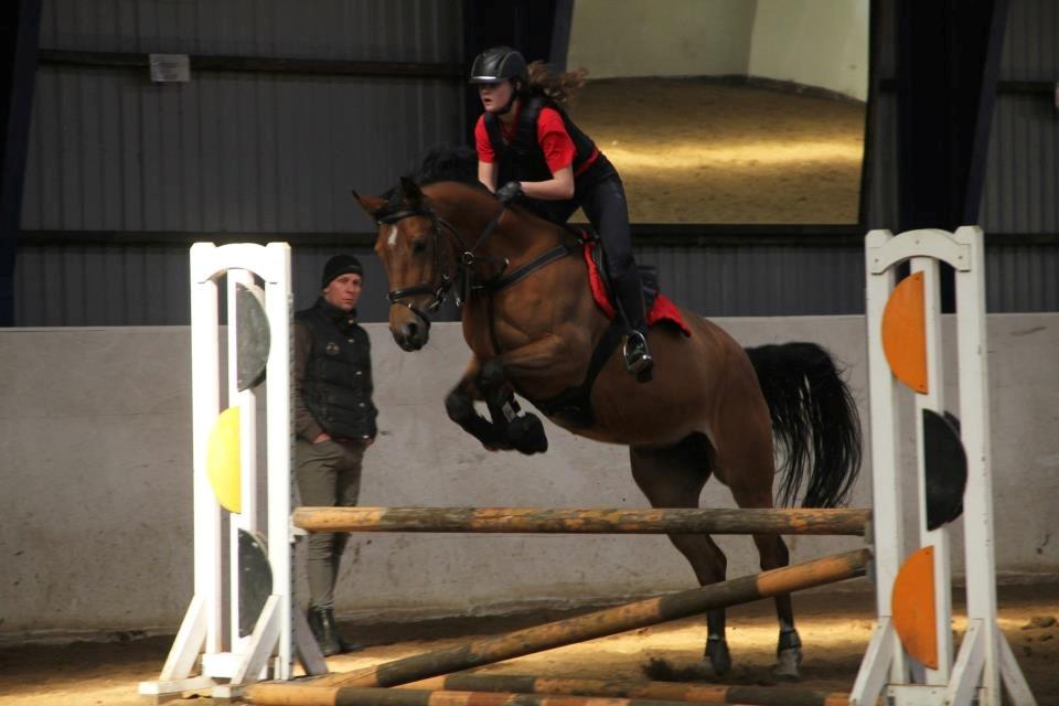 Anden særlig race Santina - spring træning (2012/13?) billede 12