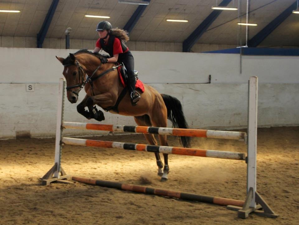 Anden særlig race Santina - spring træning (2012/13?) billede 14