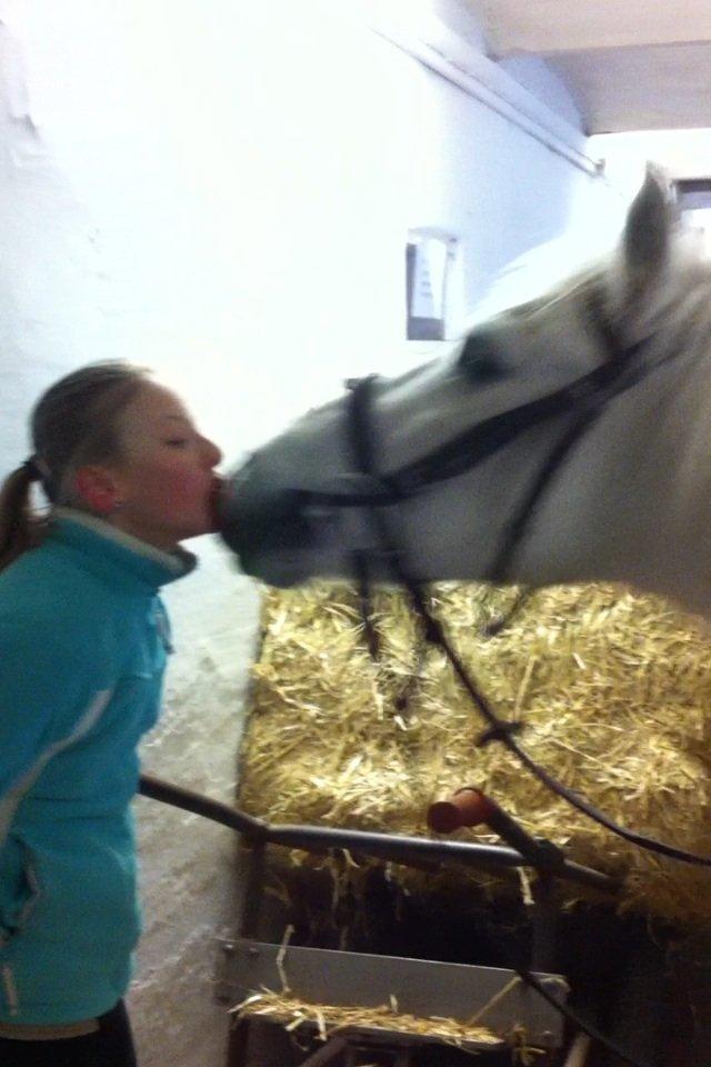 Anden særlig race Cornelius billede 16